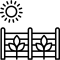 grapevine